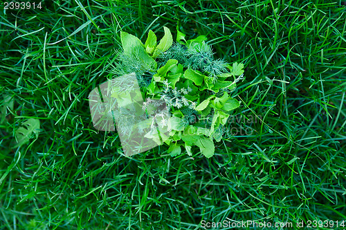 Image of food greens