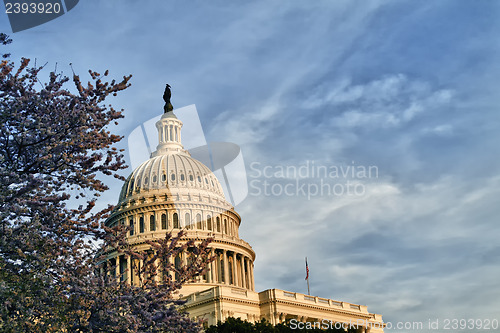 Image of US Capitol Dome