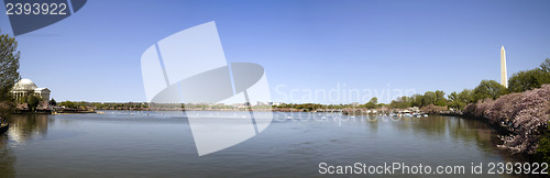 Image of Panoramic of Tidal Basin