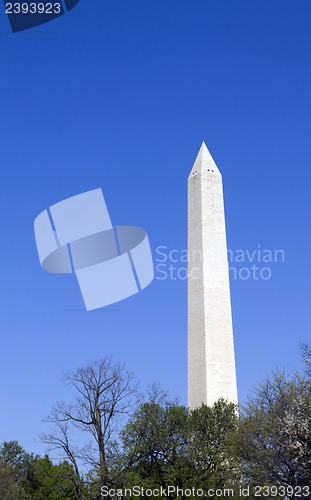 Image of Washington Monument in Washington D.C.