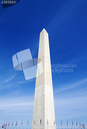 Image of Washington Monument and US Flags