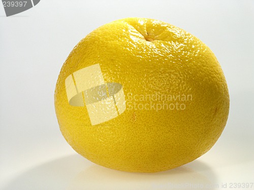 Image of Lemon