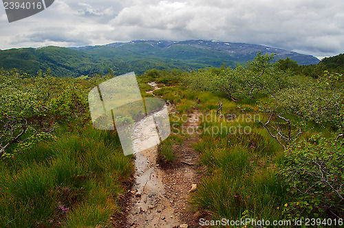 Image of Footpath in the mountains