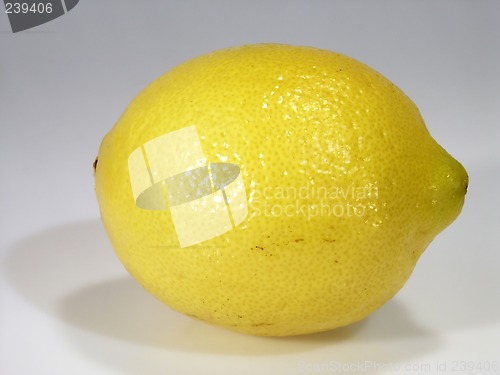 Image of Lemon