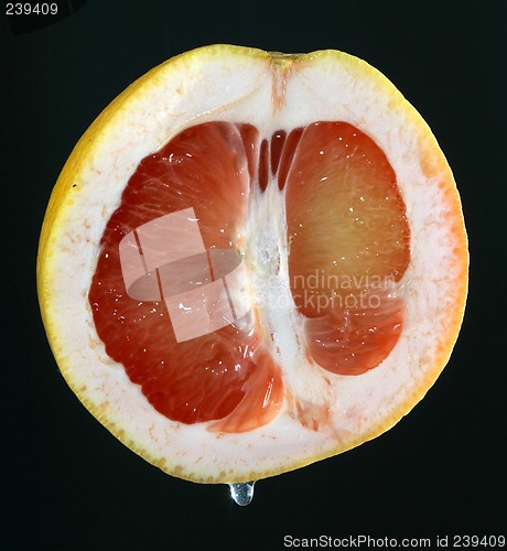 Image of Lemon