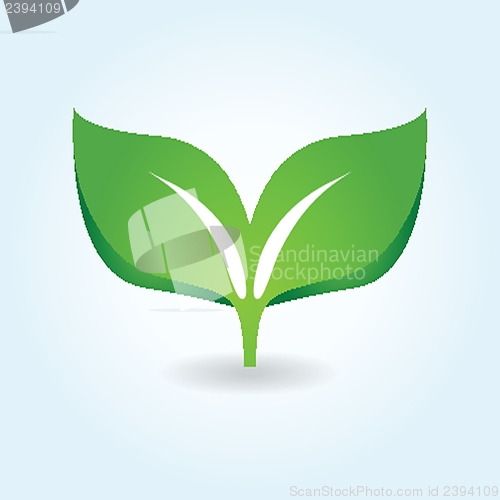 Image of Vector illustration of green leaves. Eco concept