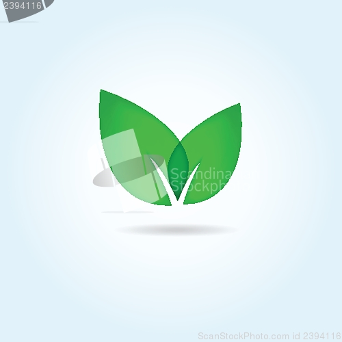 Image of Vector illustration of green leaves. Eco concept