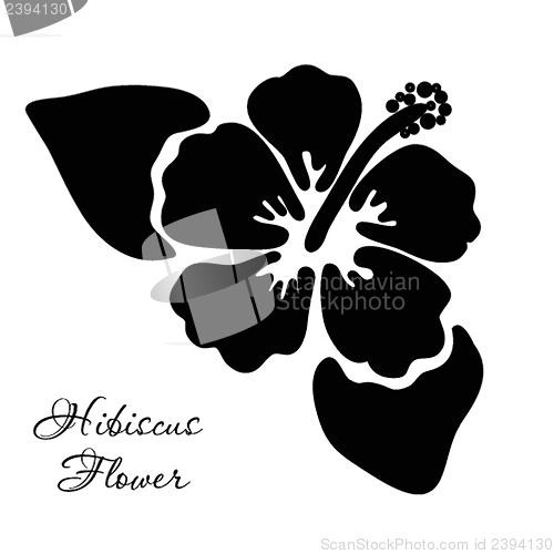 Image of Vector illustration of hibiscus flower