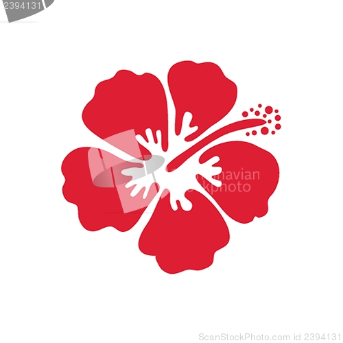 Image of Vector illustration of hibiscus flower