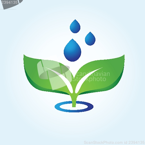 Image of Vector illustration of green leaves and drops. Eco concept