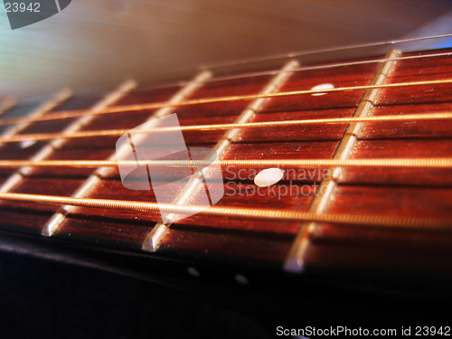 Image of A guitar fretboard.