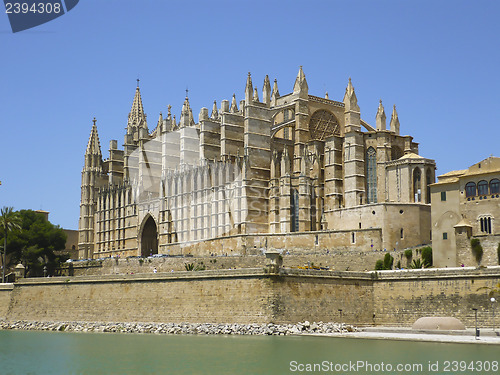 Image of Palma Cathedral