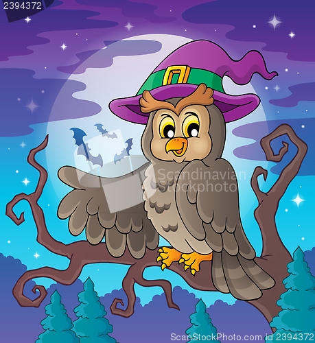 Image of Owl theme image 3