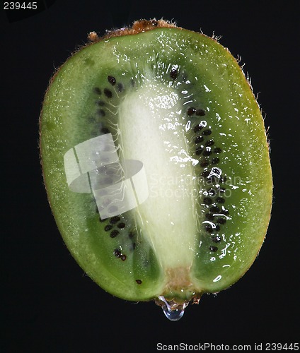 Image of kiwi