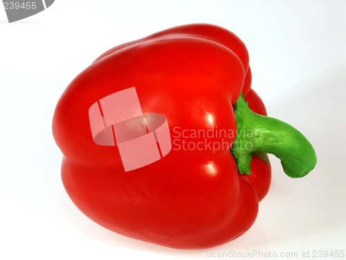 Image of Pepper