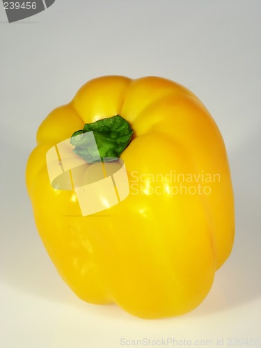 Image of Pepper