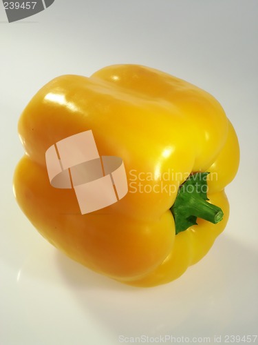 Image of Pepper