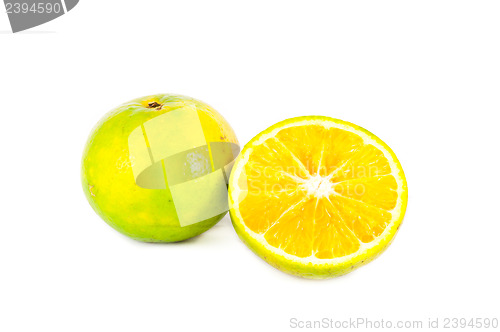 Image of Tangerine