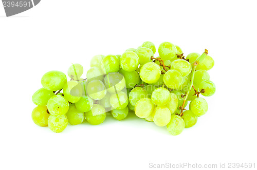 Image of Grape