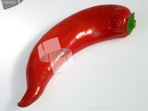 Image of Pepper