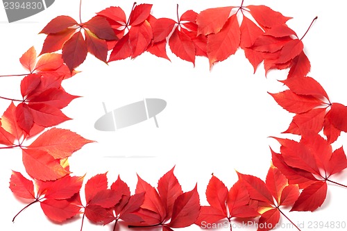 Image of Autumn leaves frame isolated on white background