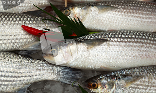 Image of fresh fish on ice with chili