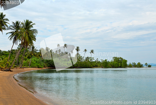 Image of tropical beach with palm trees