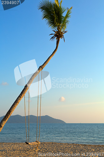 Image of Empty swing hanging from a tree on romantic