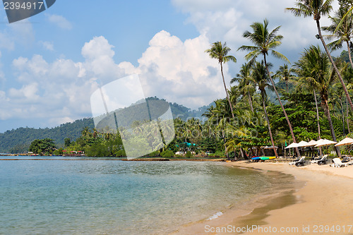 Image of tropical beach, palm trees