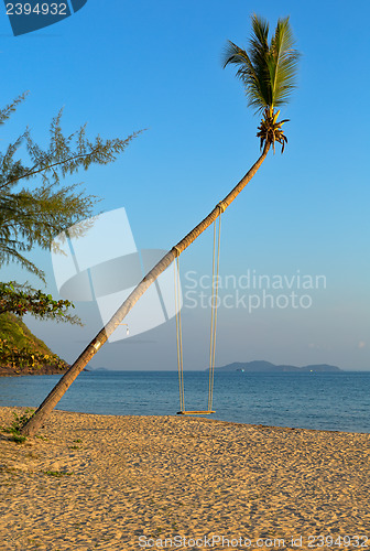 Image of Swings on palm on tropical beach