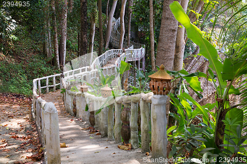 Image of walking bridge in the jungle