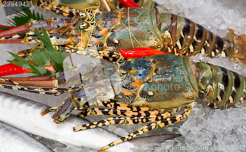 Image of fresh lobsters on ice