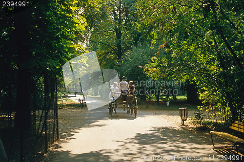 Image of Horse carriage