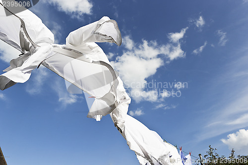 Image of 1440 Washing on line