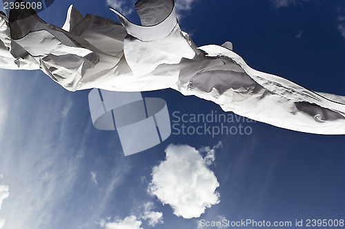 Image of 1443 White shirts drying on breeze against blue sky with fluffy 