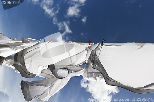 Image of 1445 White shirts drying on line against a blue sky