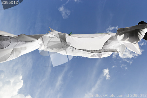 Image of 1449 white shirts drying on clothes line