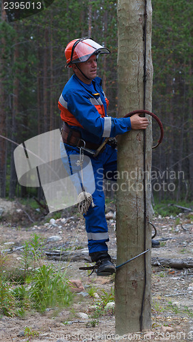 Image of Electrician begins to climb on a power pole