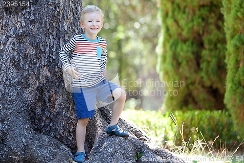 Image of boy in the woods