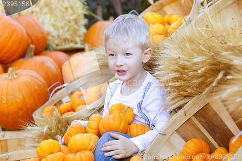 Image of boy at the pumpkin patch