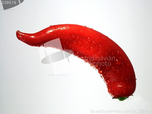 Image of Pepper