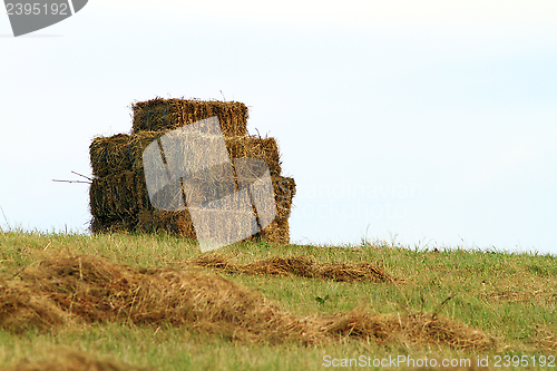 Image of hay up on the hill