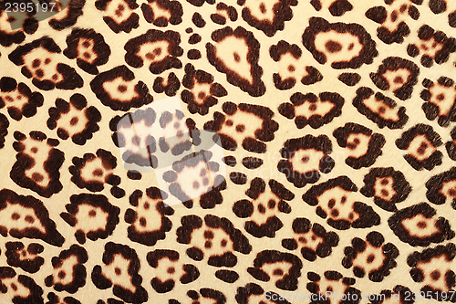 Image of pattern of leopard fur