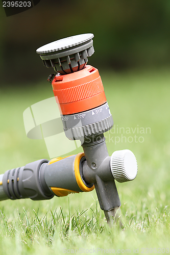 Image of water sprinkler in the garden