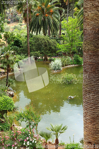 Image of Tranquil pool in a landscaped garden