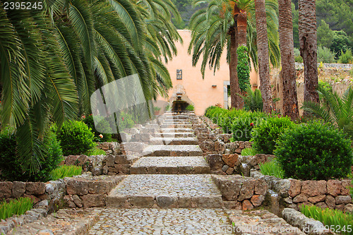 Image of Straight garden walkway with cobblestones