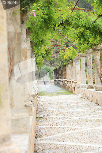 Image of Walkway under a trellised vine