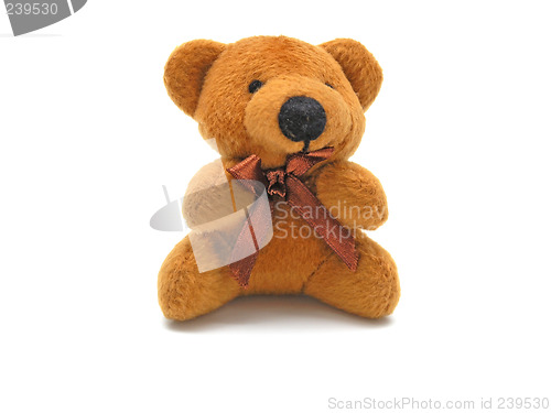 Image of Teddy bear