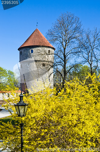 Image of Spring in park of Tallinn