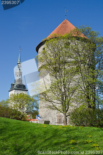 Image of Spring in park of Tallinn
